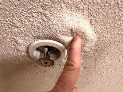About Danville VA Mold Remediation Pros - mold remediation experts in Danville
